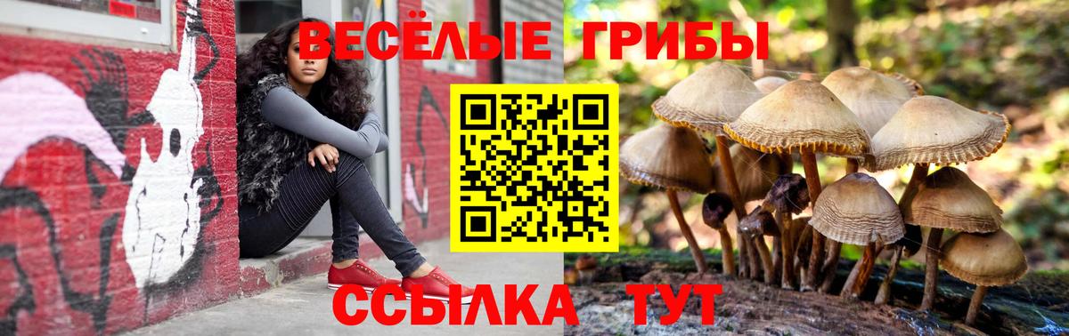 Галлюциногенные грибы прущие грибы Чернушка